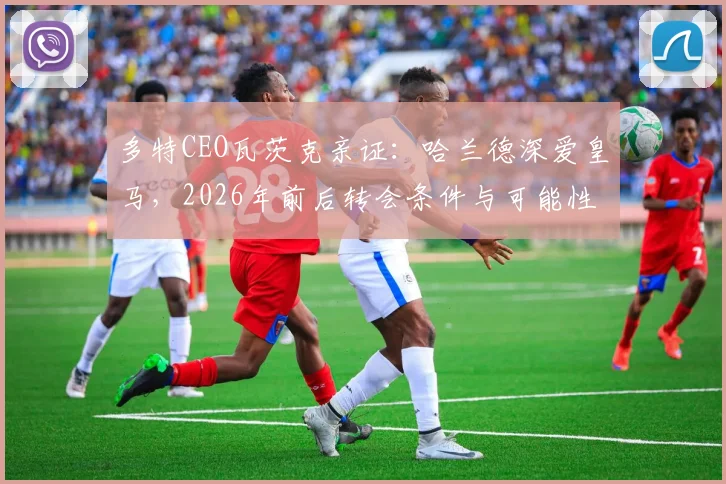 多特CEO瓦茨克亲证：哈兰德深爱皇马，2026年前后转会条件与可能性全解析
